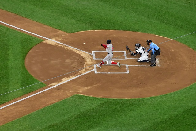 将广州豹的 将广州豹的