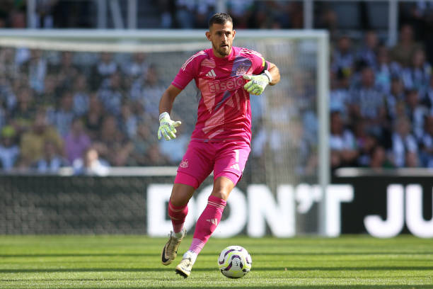 这不仅是对 这不仅是对